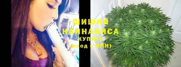 прущие крисы Арсеньев