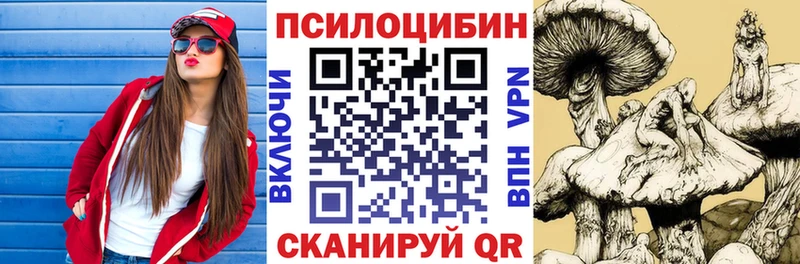 закладка  Осинники  Галлюциногенные грибы GOLDEN TEACHER 